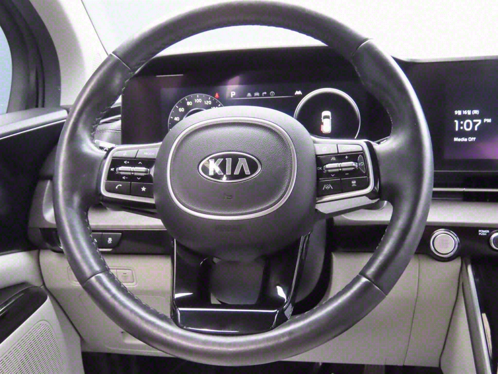 KIA Carnival - Vista 11