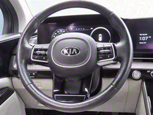 KIA Carnival - Vista 12