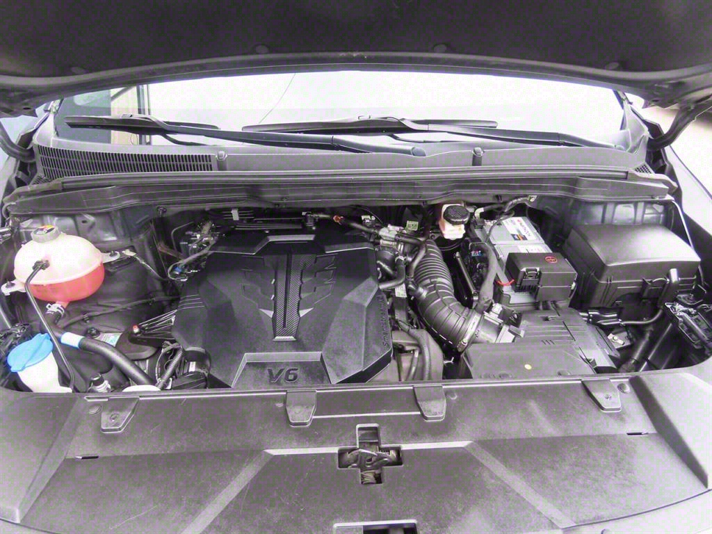 KIA Carnival - Vista 9