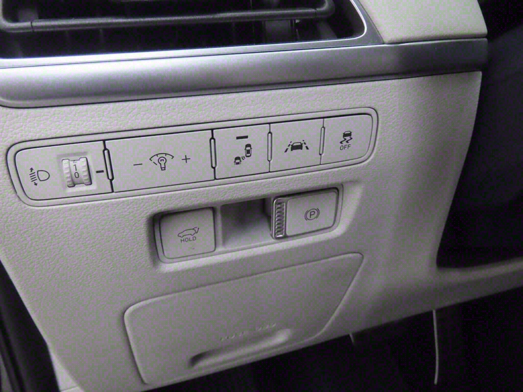 HYUNDAI Palisade - Vista 10