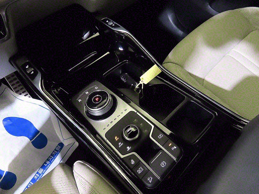 KIA Sorento - Vista 12