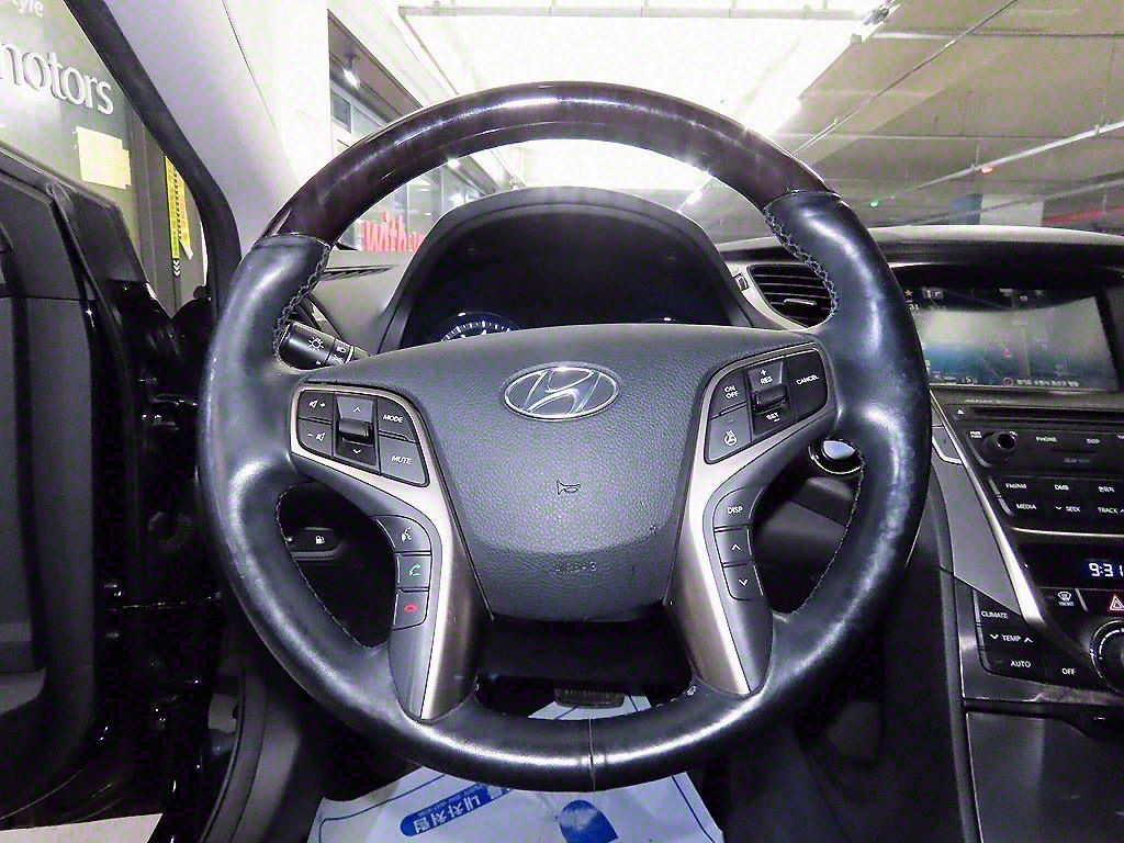 HYUNDAI Grandeur - Vista 8