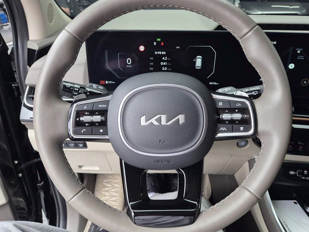 KIA Carnival - Vista 9