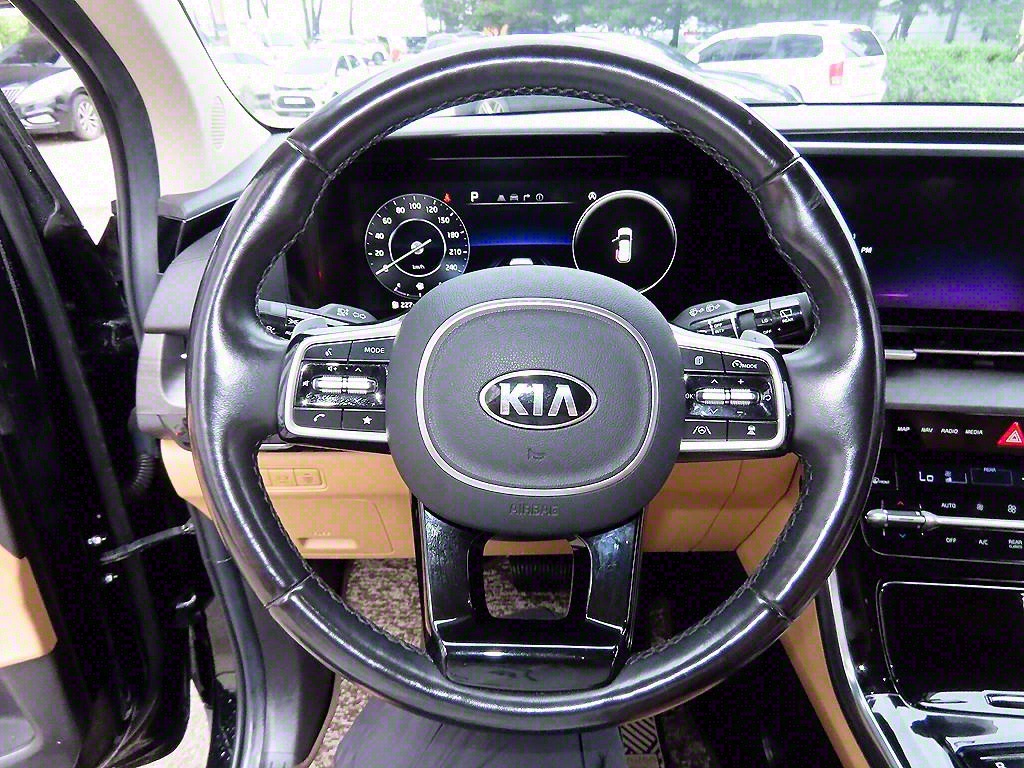KIA Carnival - Vista 9