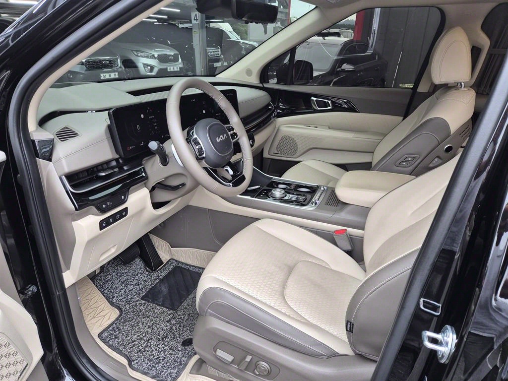 KIA Carnival - Vista 12