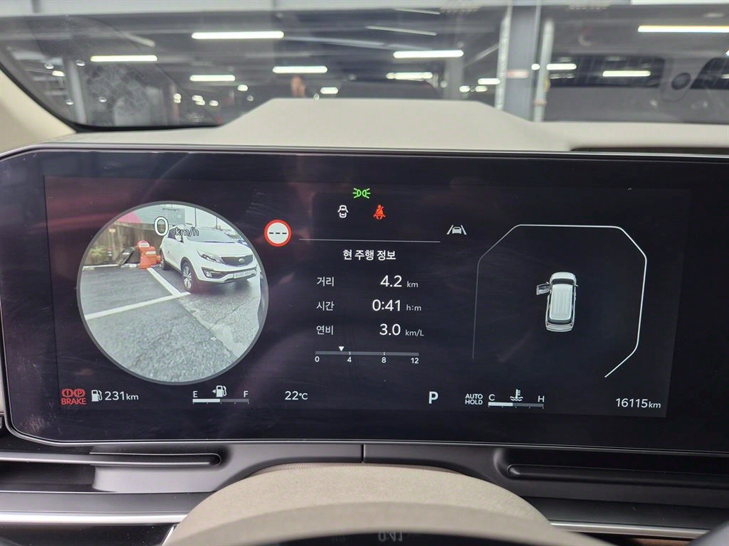 KIA Carnival - Vista 7