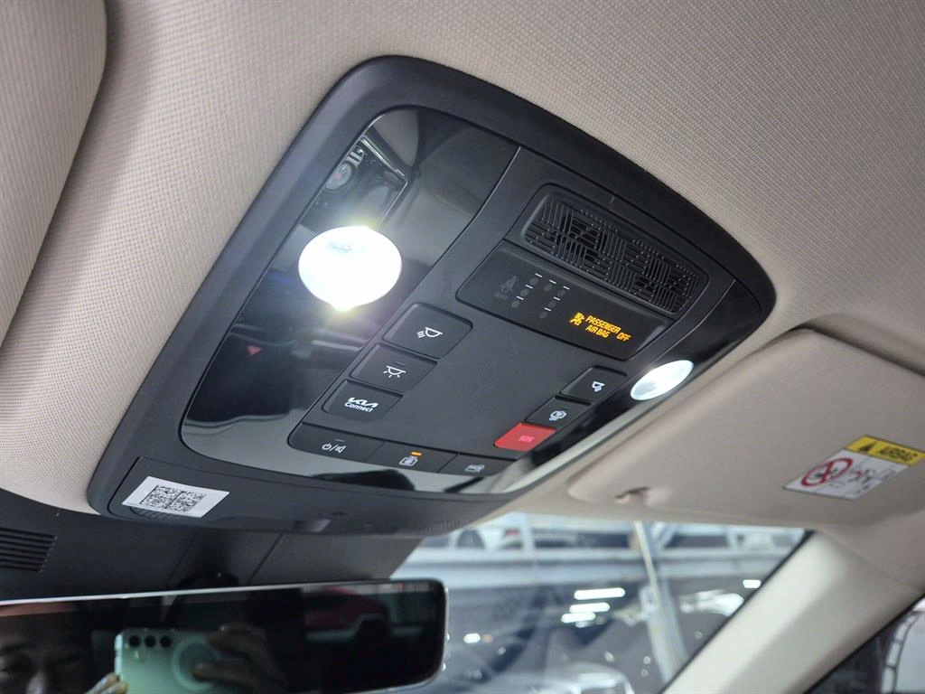 KIA Carnival - Vista 10