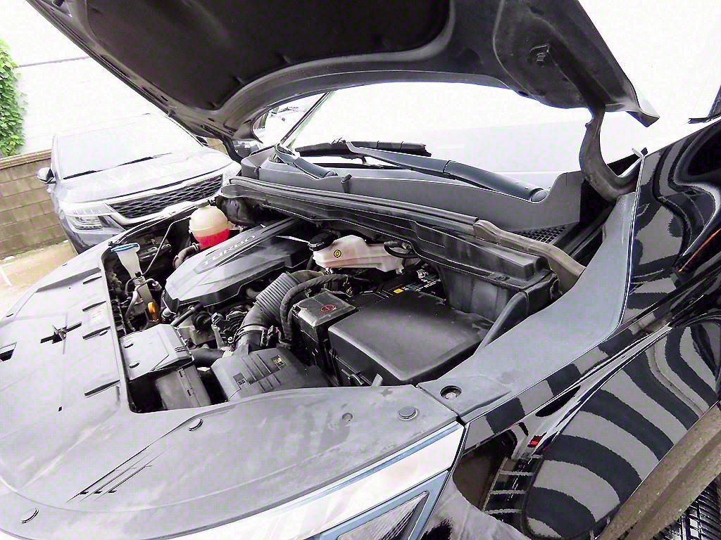 KIA Carnival 2021 Negro - Importación desde Corea - HF Imports Iquique - Foto 19