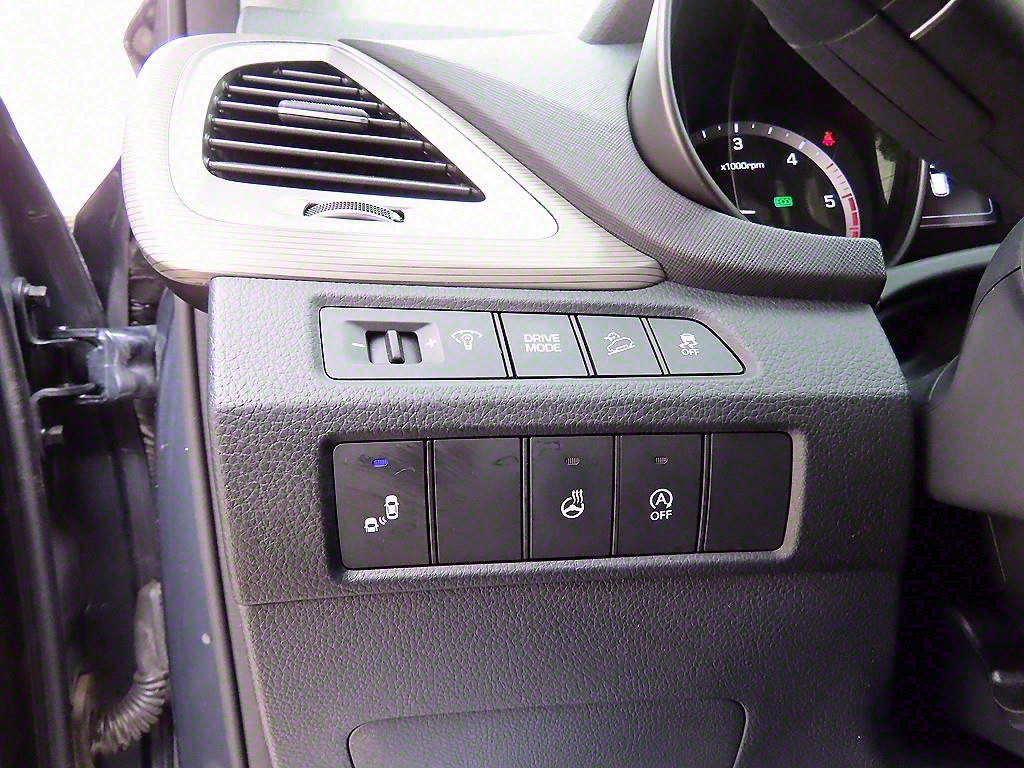 HYUNDAI Maxcruz - Vista 12