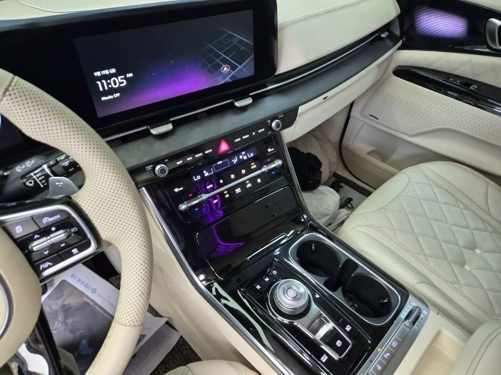 KIA Carnival - Vista 10