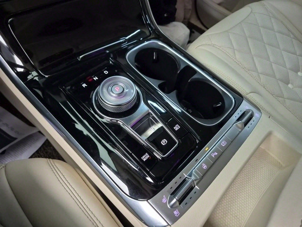 KIA Carnival - Vista 8