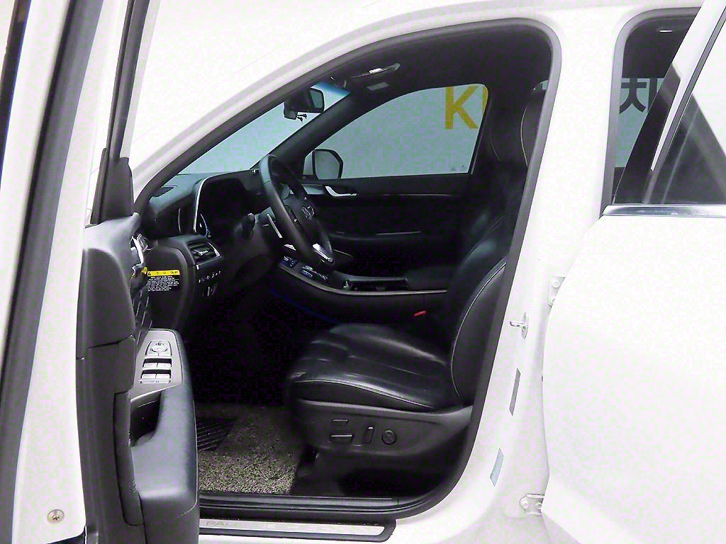 HYUNDAI Palisade - Vista 12