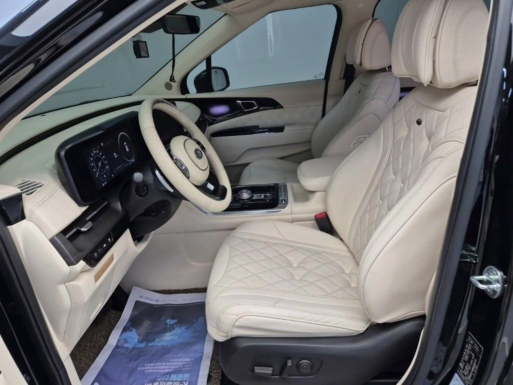 KIA Carnival - Vista 11