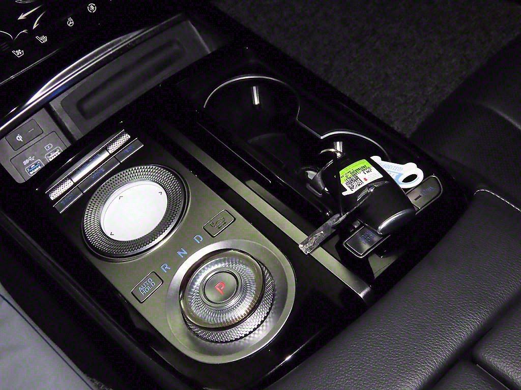 Genesis G80 - Vista 12