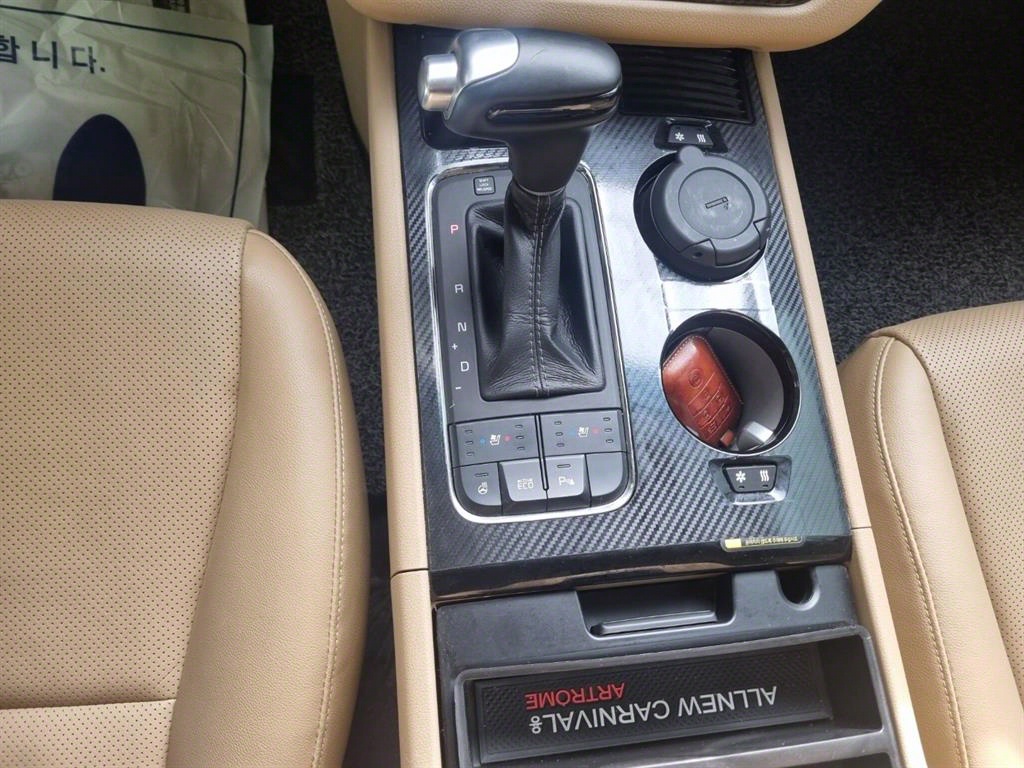 KIA Carnival - Vista 8