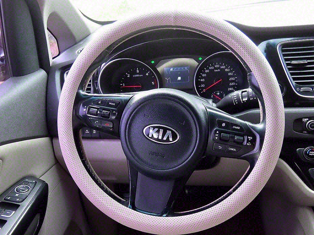 KIA Carnival - Vista 8