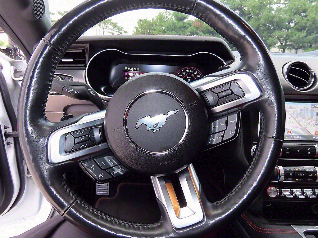 Ford Mustang - Vista 8