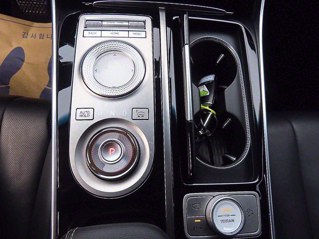 Genesis GV80 - Vista 12