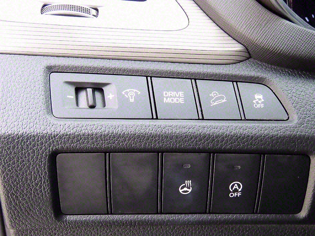 HYUNDAI Maxcruz - Vista 12