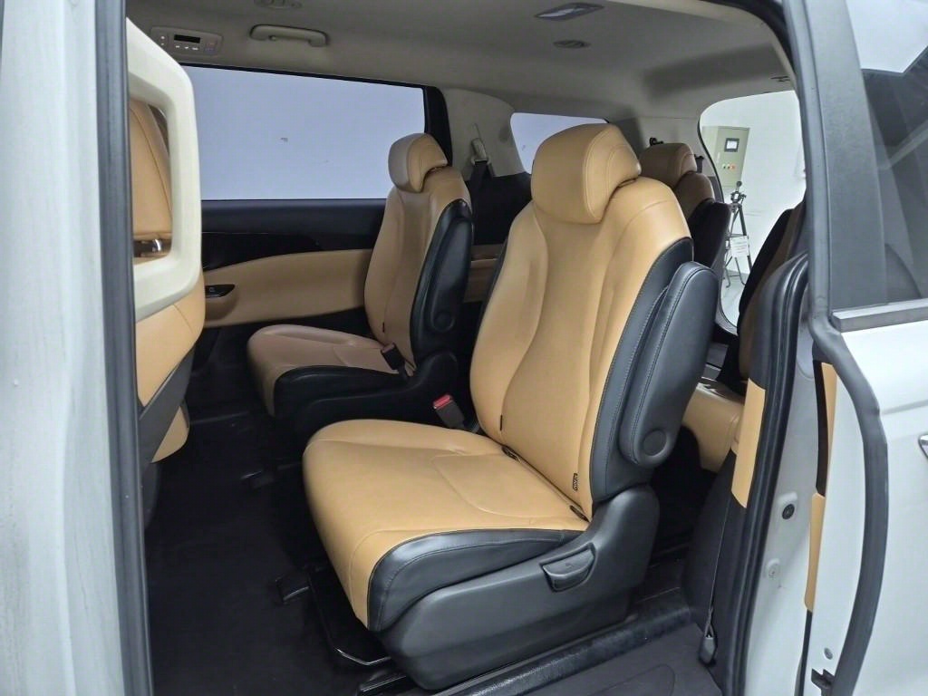 KIA Carnival - Vista 12