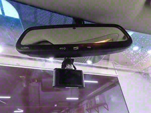 KIA Carnival - Vista 12