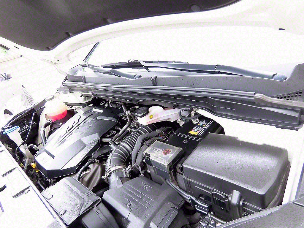 KIA Carnival 2021 - Importación desde Corea - HF Imports Iquique - Foto 19