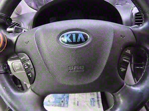 KIA Carnival - Vista 10