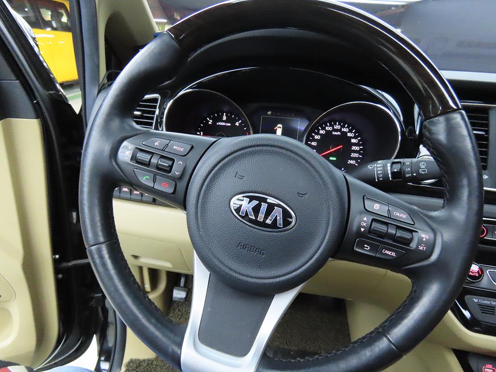 KIA Carnival - Vista 8