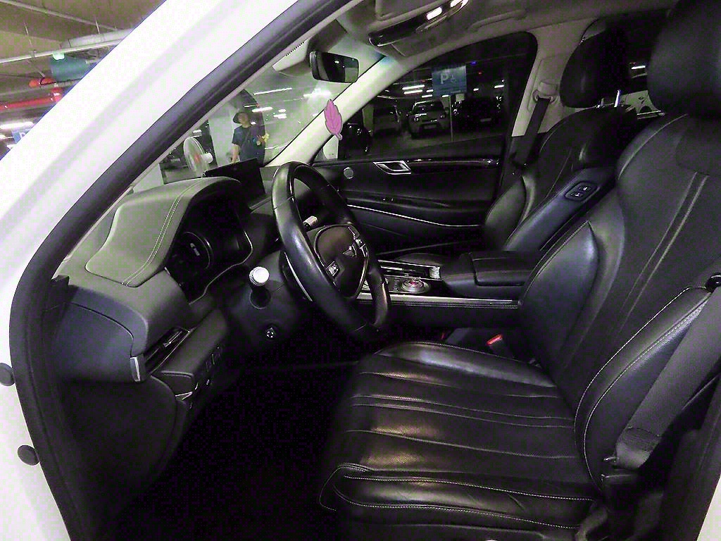 Genesis GV80 - Vista 6