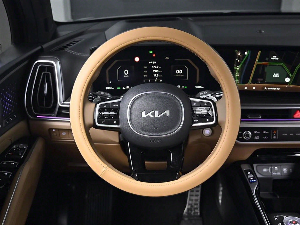 KIA Sorento - Vista 10