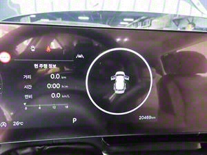 KIA Carnival - Vista 12