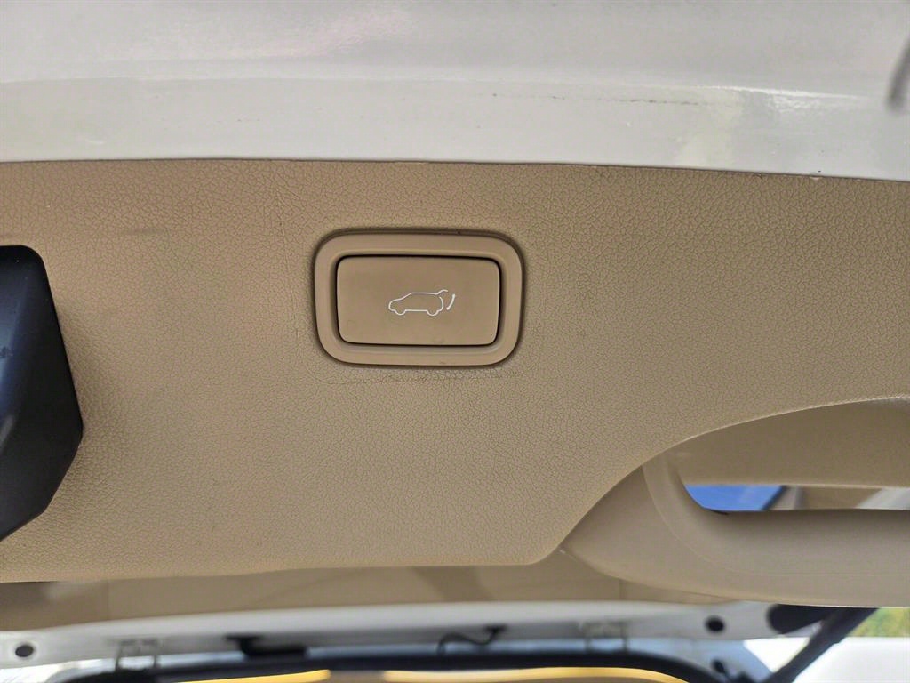 KIA Carnival - Vista 8