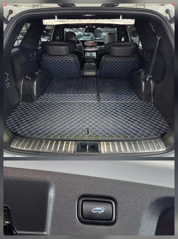 HYUNDAI Palisade - Vista 12