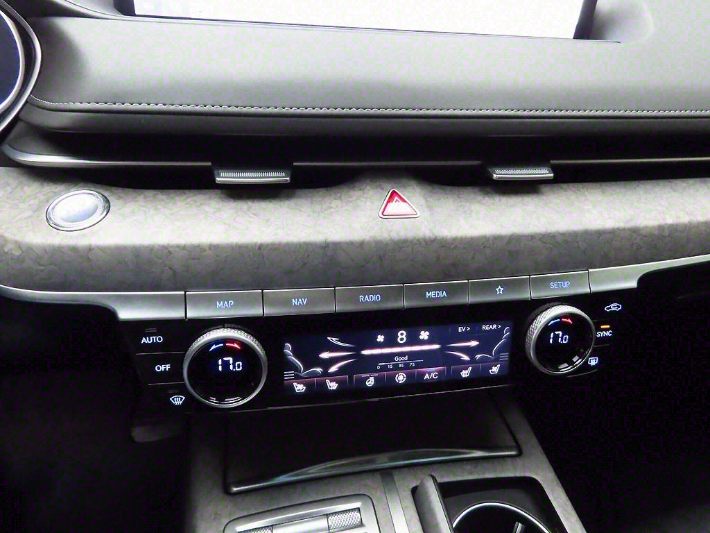 Genesis G80 - Vista 10