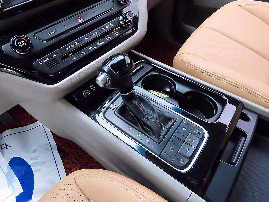 KIA Carnival - Vista 11