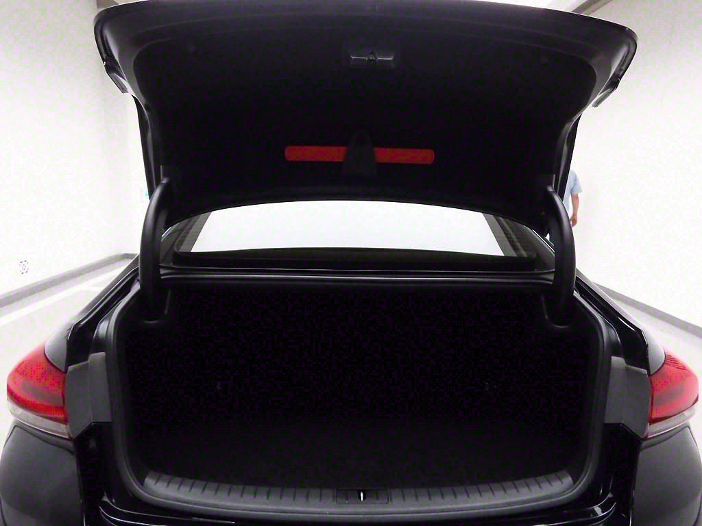 HYUNDAI Genesis - Vista 5