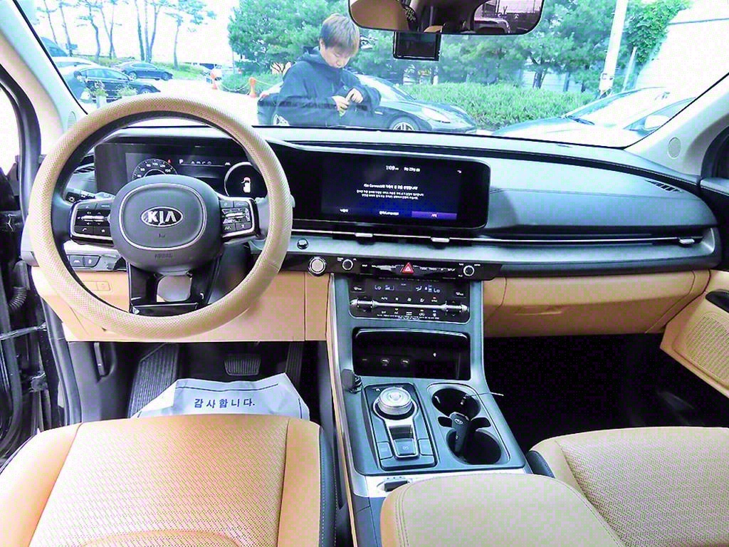 KIA Carnival - Vista 8