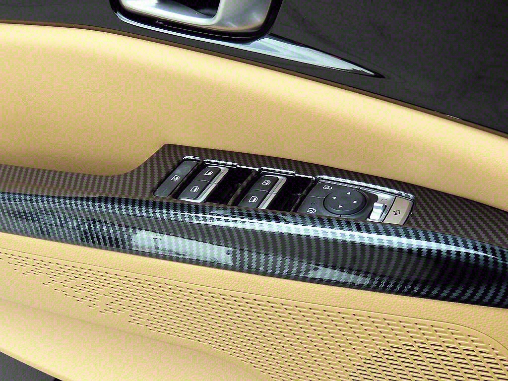 KIA Carnival - Vista 12