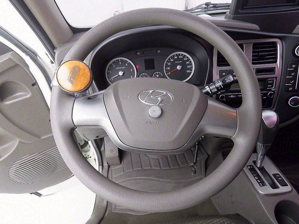 Small Truck (Completed) a live fish car - Vista 9