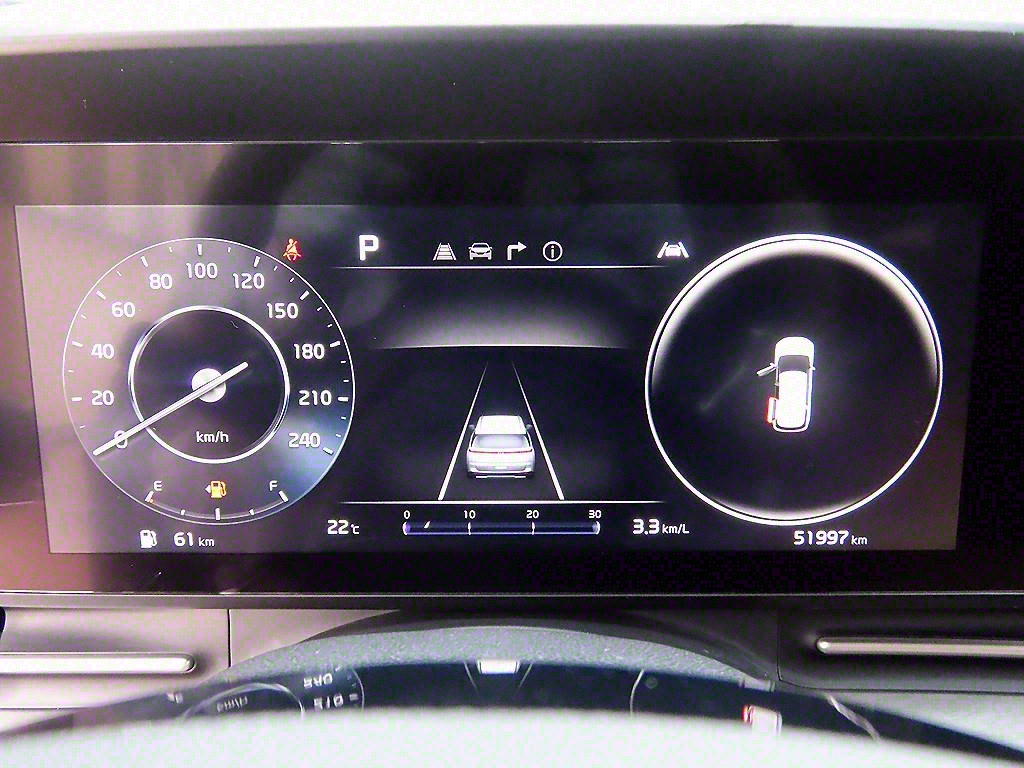 KIA Carnival - Vista 10