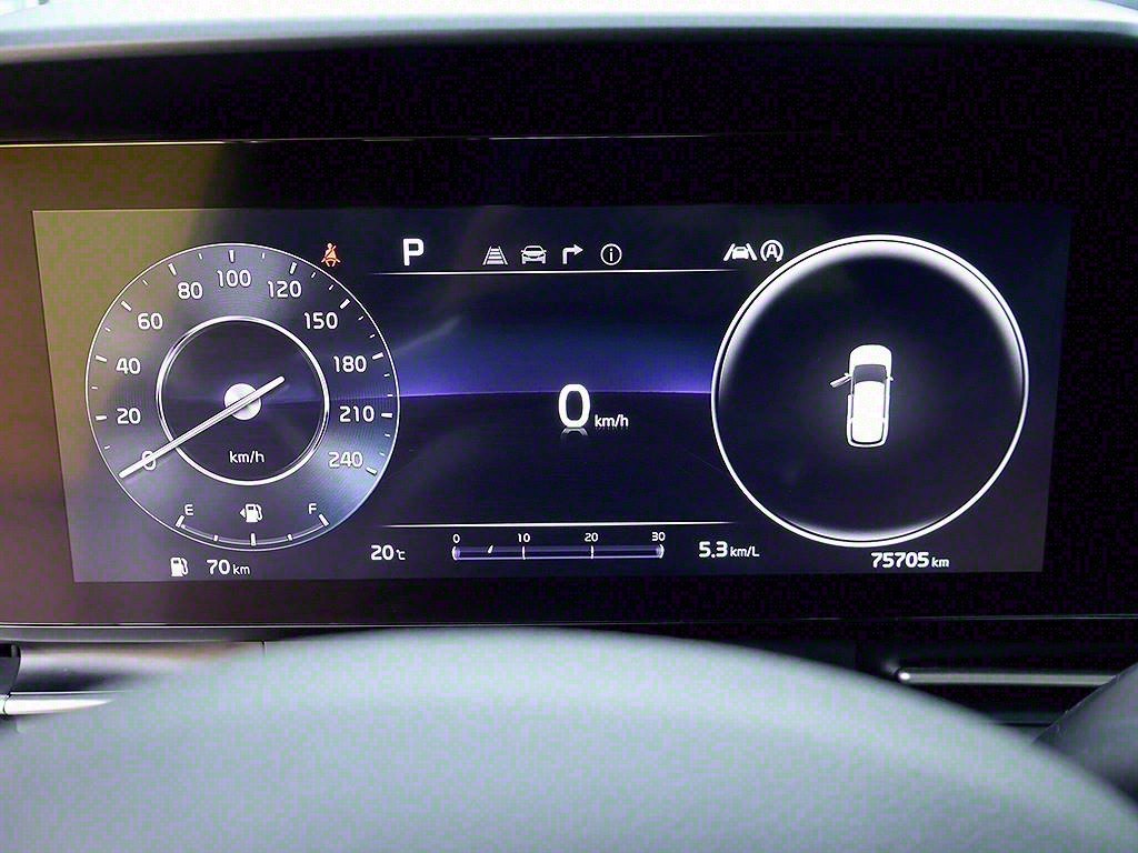 KIA Carnival - Vista 11