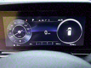 KIA Carnival - Vista 12