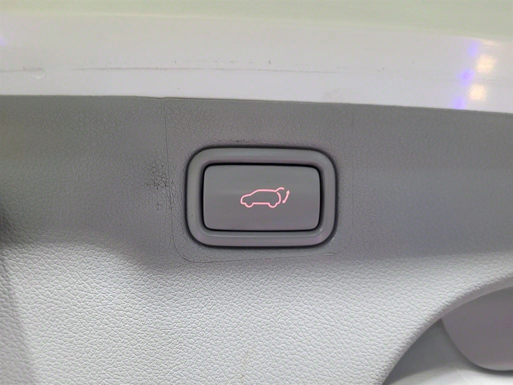 KIA Carnival - Vista 9