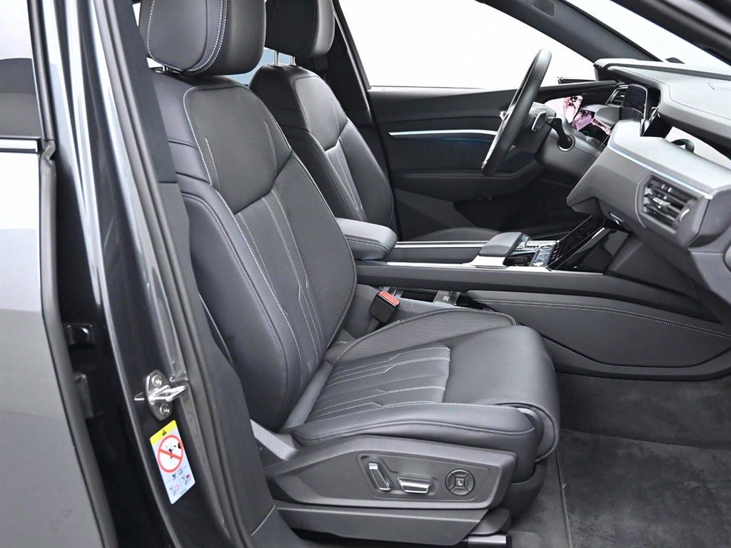 Audi e-Tron - Vista 10