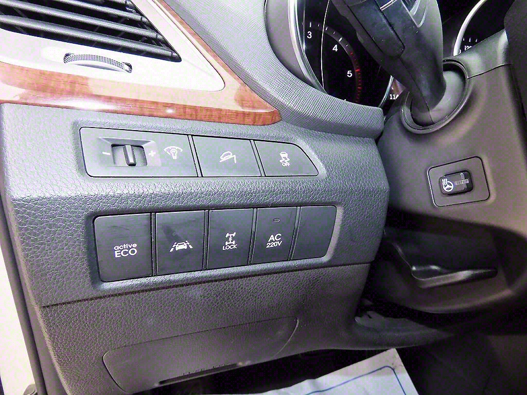 HYUNDAI Maxcruz - Vista 12