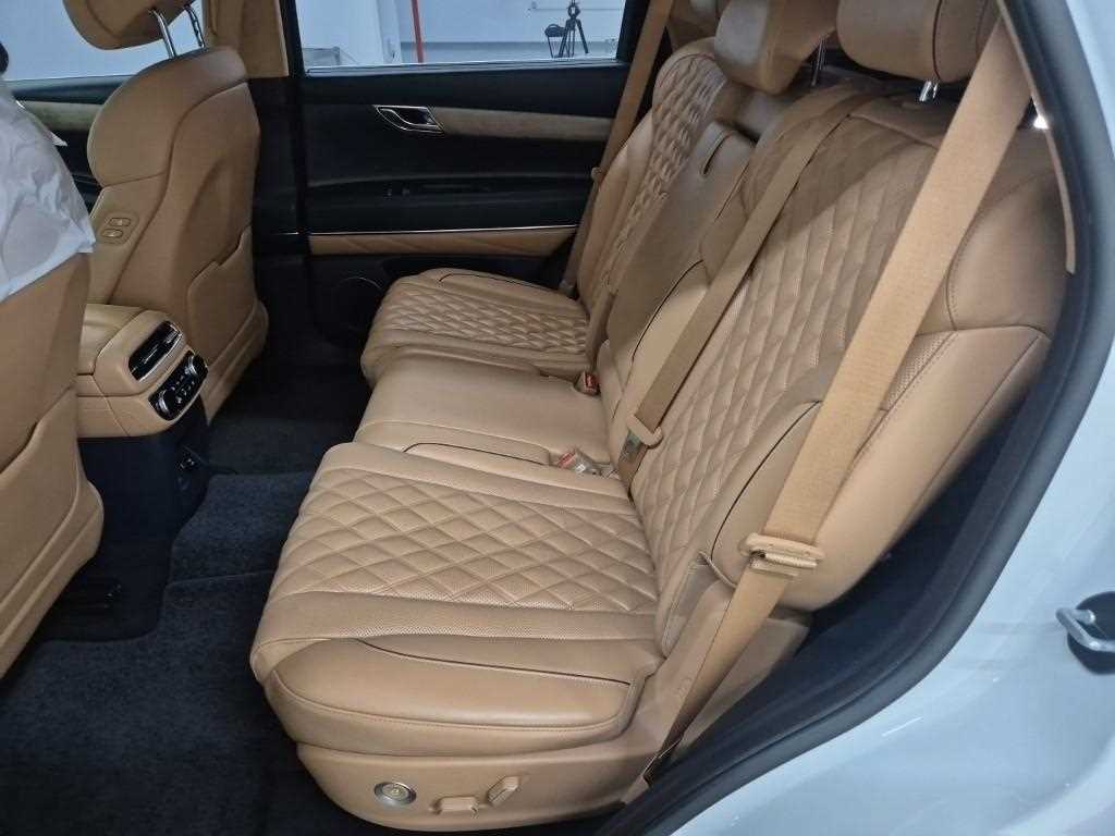 Genesis GV80 - Vista 12