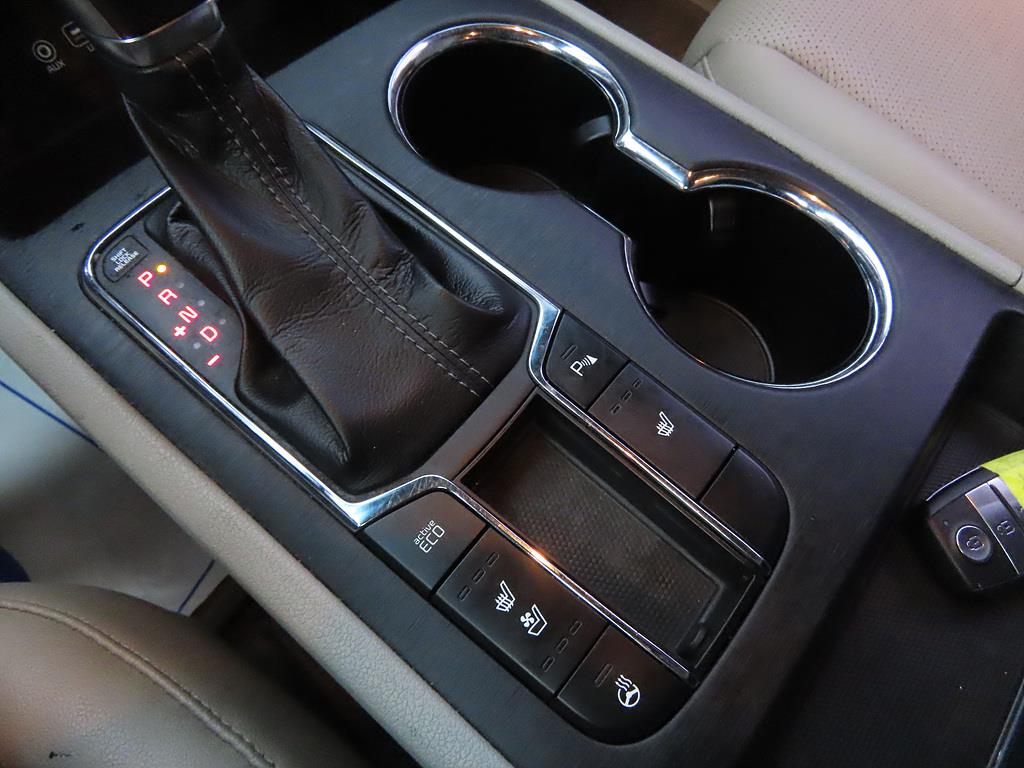 KIA Carnival - Vista 12