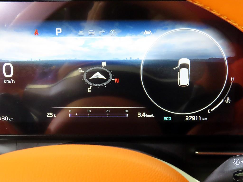 KIA Carnival - Vista 9