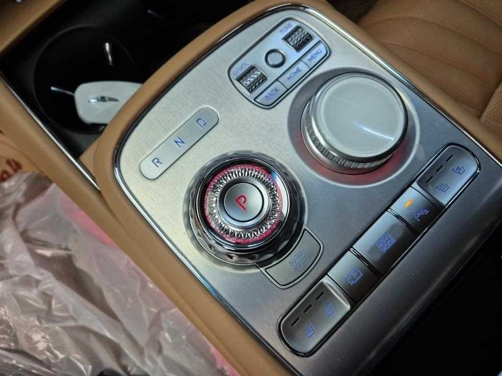 Genesis G90 - Vista 8