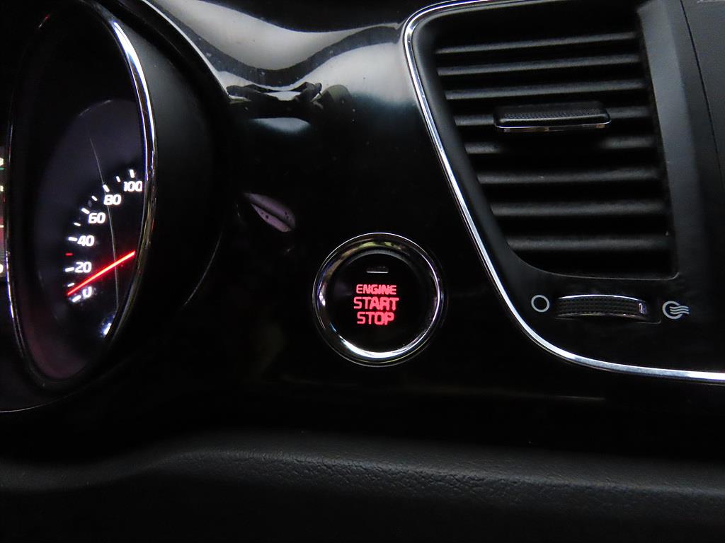 KIA Carnival - Vista 12